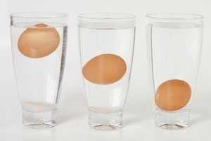 Как проверить свежесть куриных яиц