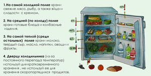 Как правильно разместить продукты в холодильнике