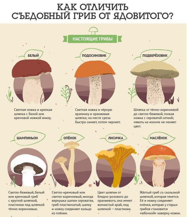 Как определить личность по фотографии