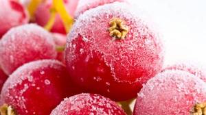 Замороженная ягода клюквы
