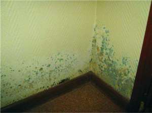 Как избавиться от сырости на стенах в доме