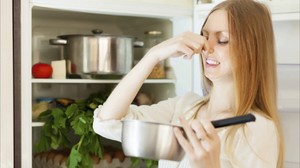 Как устранить неприятный запах из холодильника - описание