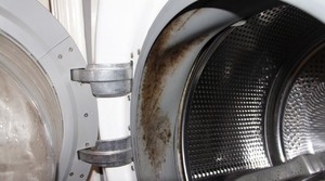 Как плесень появляется в стиральной машине?