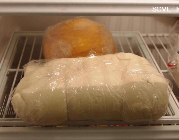 Тесто можно держать в. Дрожжевое тесто в холодильнике. Тесто в морозилке. Тесто в пакете в холодильнике. Тесто дрожжевое в морозилке.