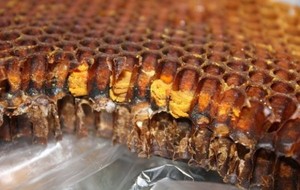 Хранение пчелиной перги