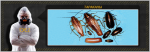 Инсектициды от тараканов