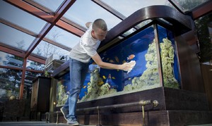 Как чистить аквариум