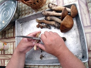 Как ножом чистить грибы