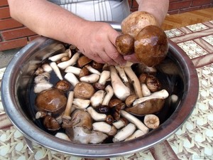 Подготовка грибов к маринованию