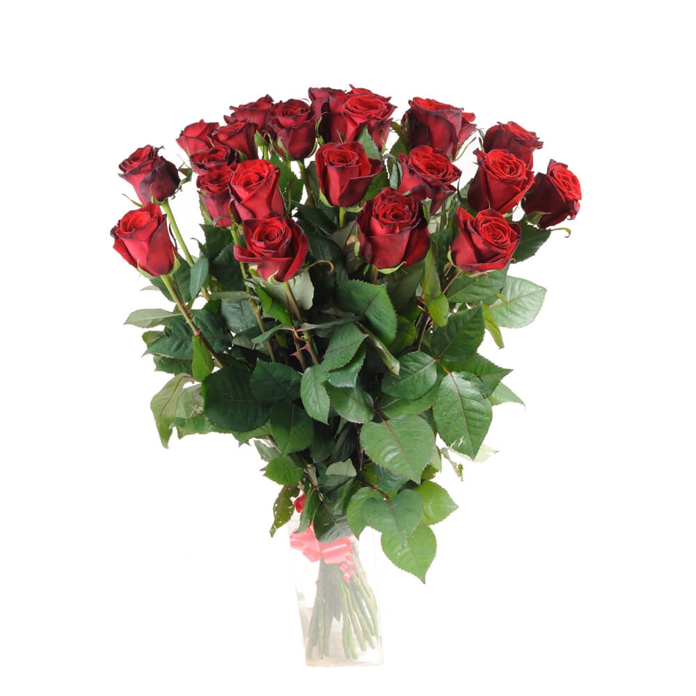 Купить розы в смоленске. Магазин Беккер розы. Закупка роз. Розы купить. Как выбрать хорошую розу при покупке.