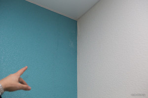  как удалить плесень с потолка
