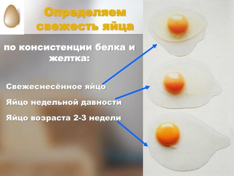 Определение качества яиц
