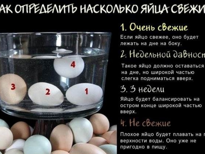 Свежесть яйца