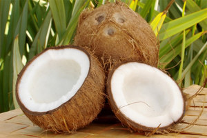 Плод кокос