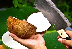 Способы как открыть кокос