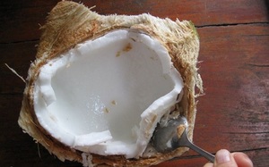 Как достать мякоть из кокоса